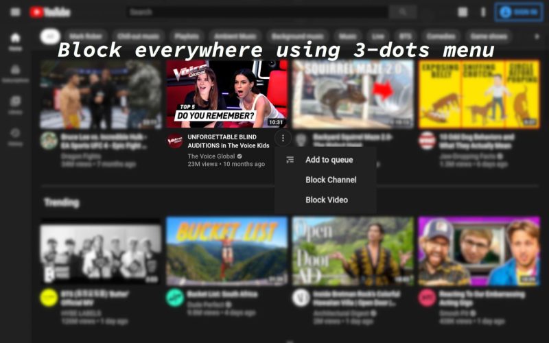 插件名称：BlockTube-砚冰资源网