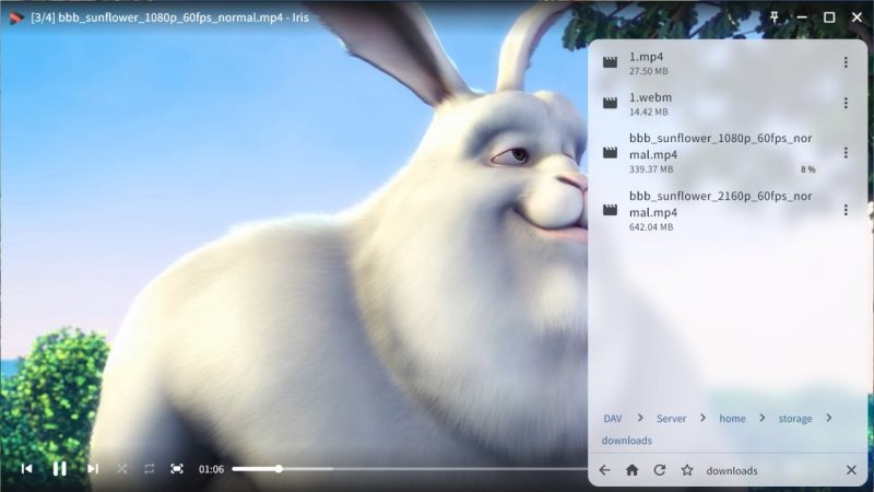 软件名称：Iris-砚冰资源网