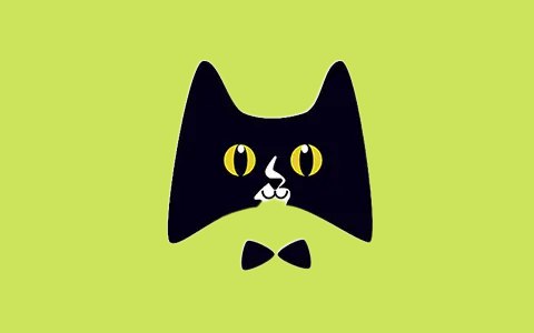 《黑猫小说 v1.2.0免费小说追书自带海量书源》-砚冰资源网